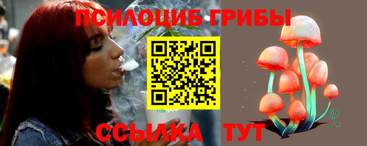 Псилоцибиновые грибы Magic Shrooms Новозыбков